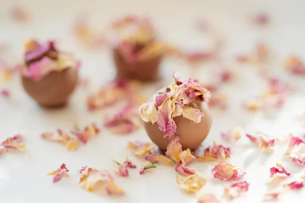 카지노 선 팰리스 안드로이드/iOS 앱